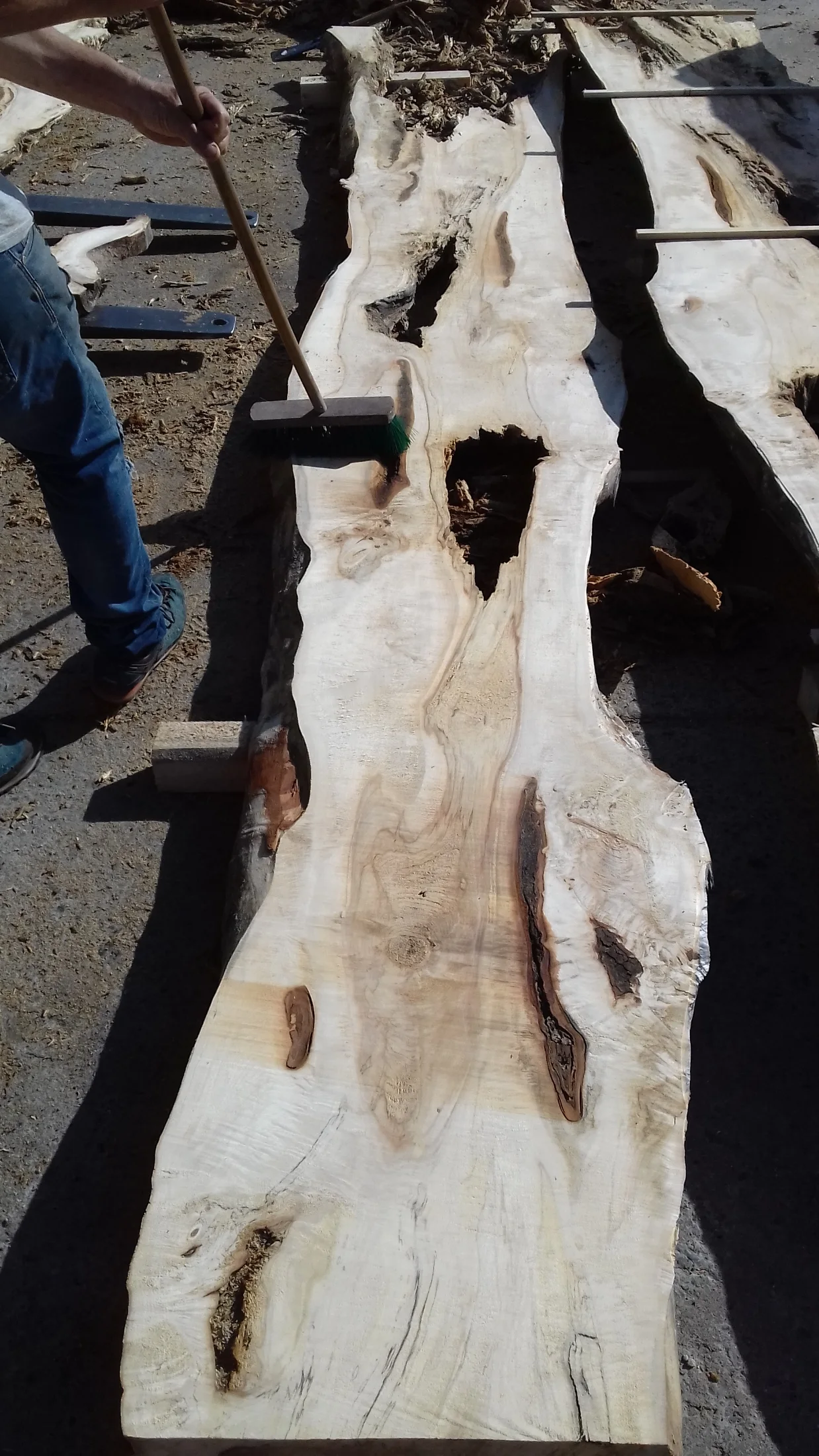 Pièce de bois singulière