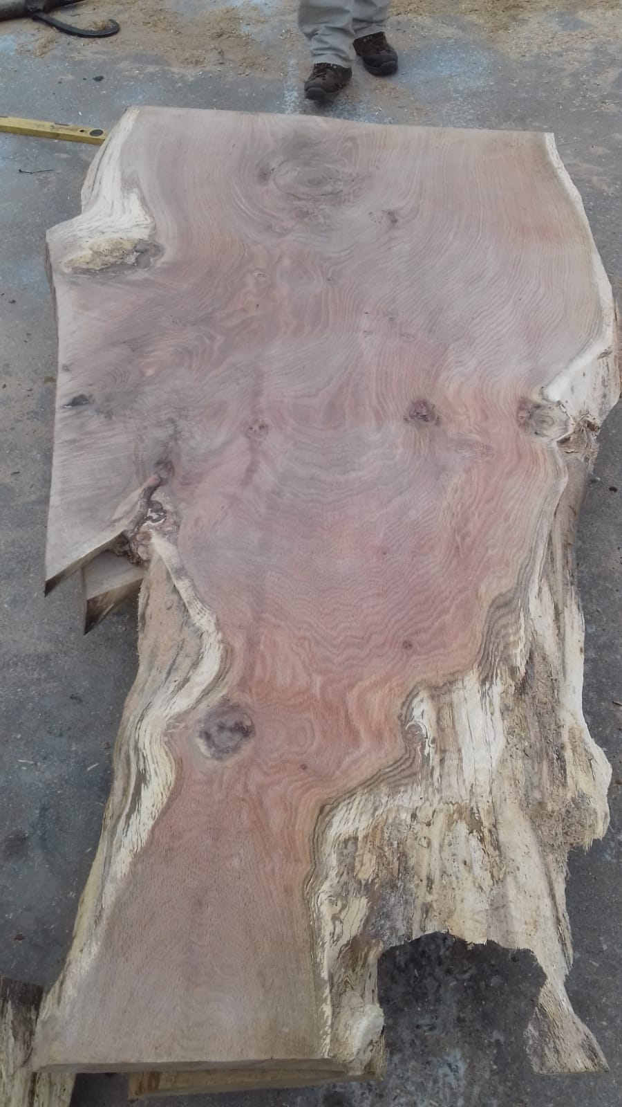 Détail du fil du bois